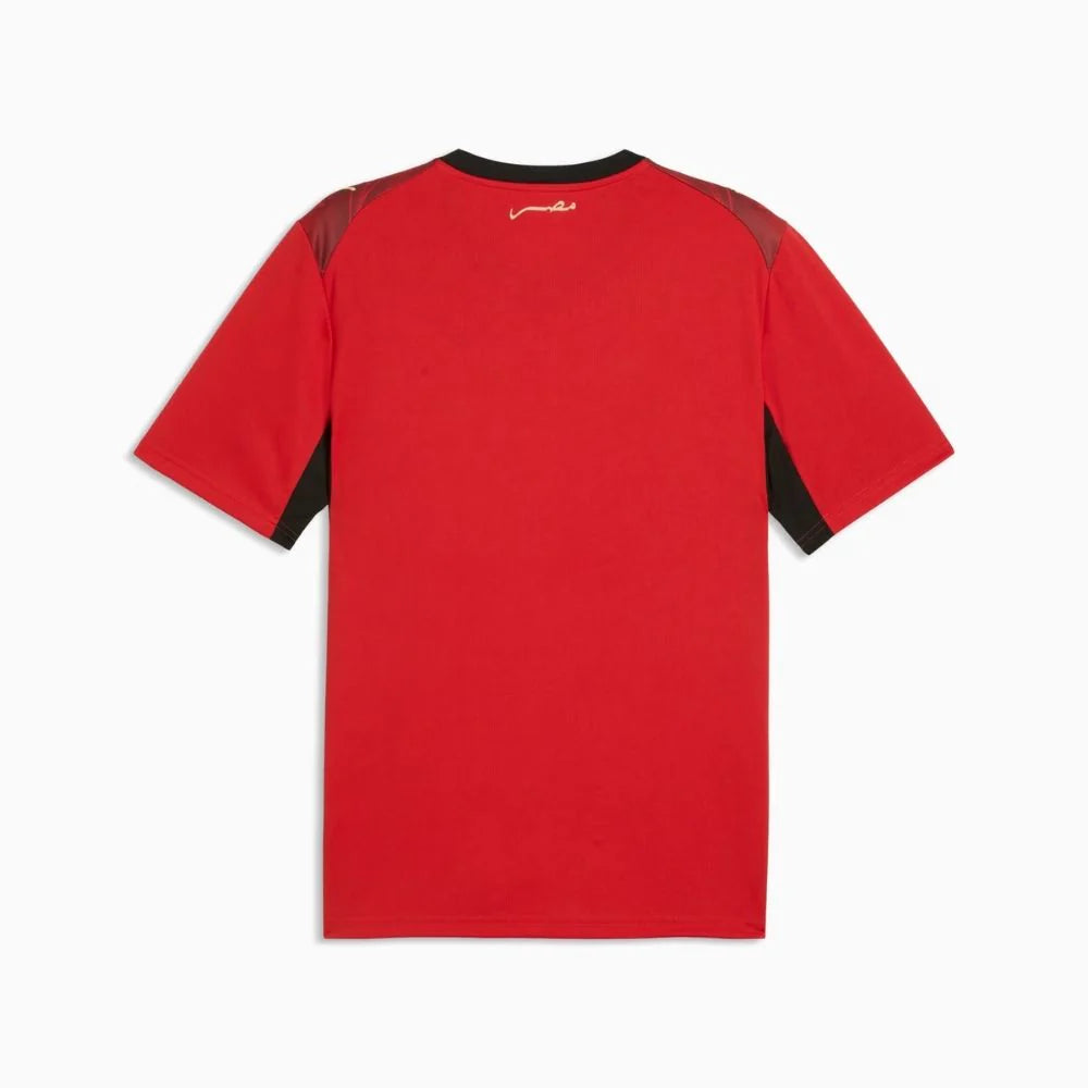 Egypt Fifa EFA World Cup Puma 2025/26 Home Replica Jersey