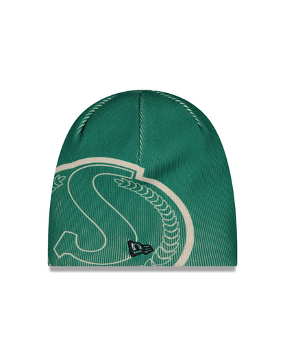 Saskatchewan Roughriders CFL Turf Traditions New Era Knit Hat