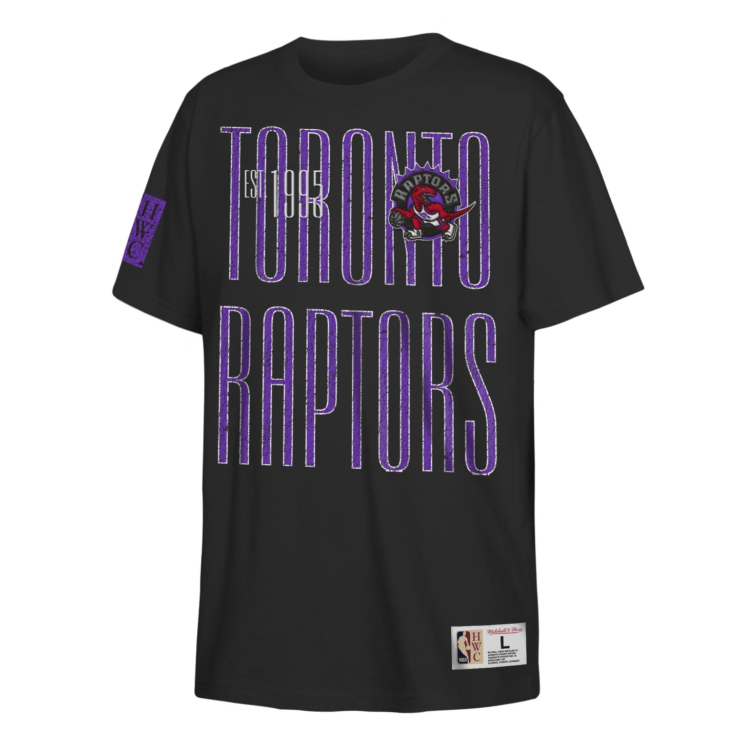 Youth Toronto Raptors Mitchell & Ness Hardwood Classics Hometown 2.0 T-Shirt - Black