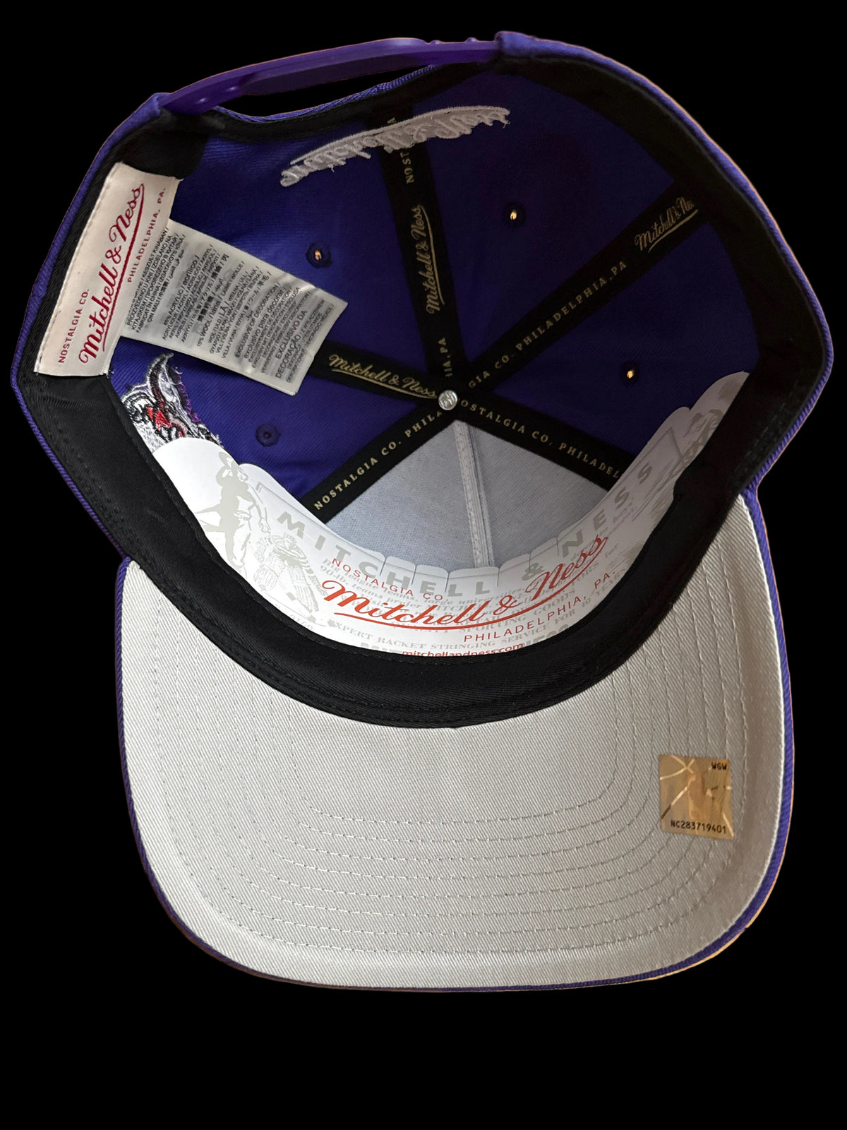 Toronto Raptors 1995 Inaugural Season Mitchell & Ness Pro Pinch A-Frame Structured Fit Snapback Hat - Purple