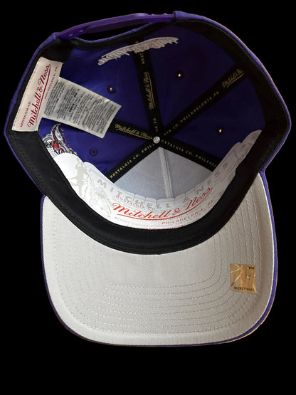 Toronto Raptors 1995 Inaugural Season Mitchell & Ness Pro Pinch A-Frame Structured Fit Snapback Hat - Purple