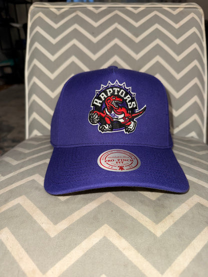 Toronto Raptors 1995 Inaugural Season Mitchell & Ness Pro Pinch A-Frame Structured Fit Snapback Hat - Purple