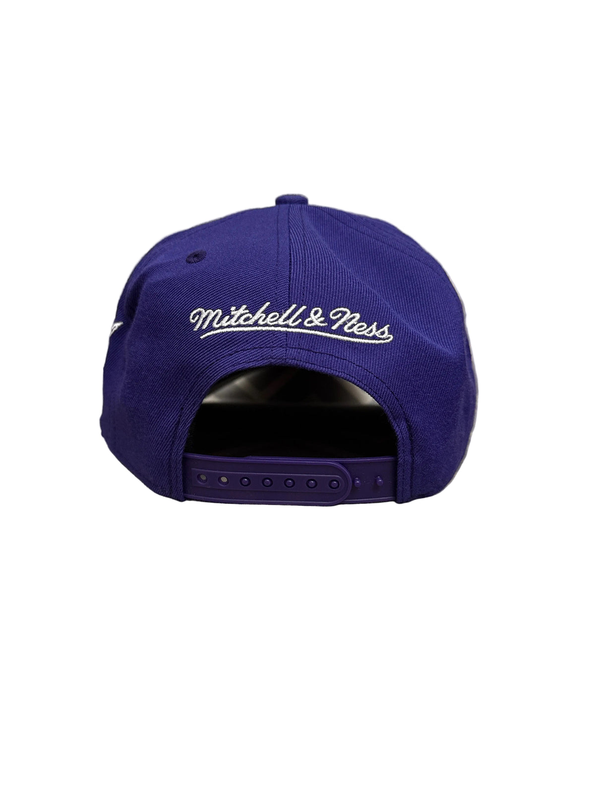Toronto Raptors 1995 Inaugural Season Mitchell & Ness Pro Pinch A-Frame Structured Fit Snapback Hat - Purple