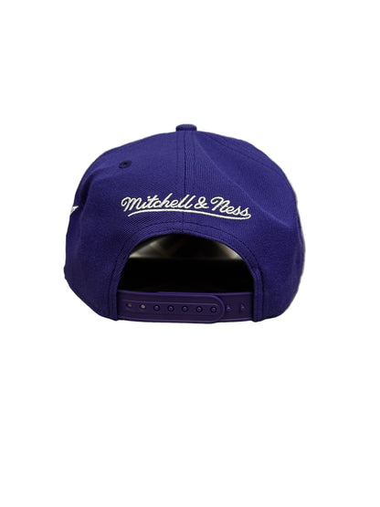 Toronto Raptors 1995 Inaugural Season Mitchell & Ness Pro Pinch A-Frame Structured Fit Snapback Hat - Purple