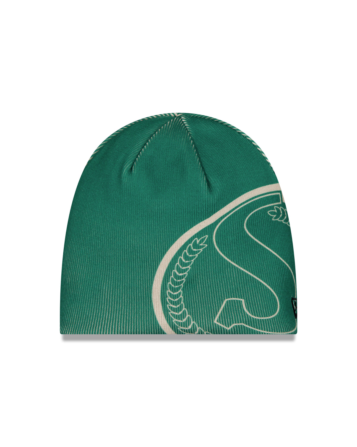 Saskatchewan Roughriders CFL Turf Traditions New Era Knit Hat