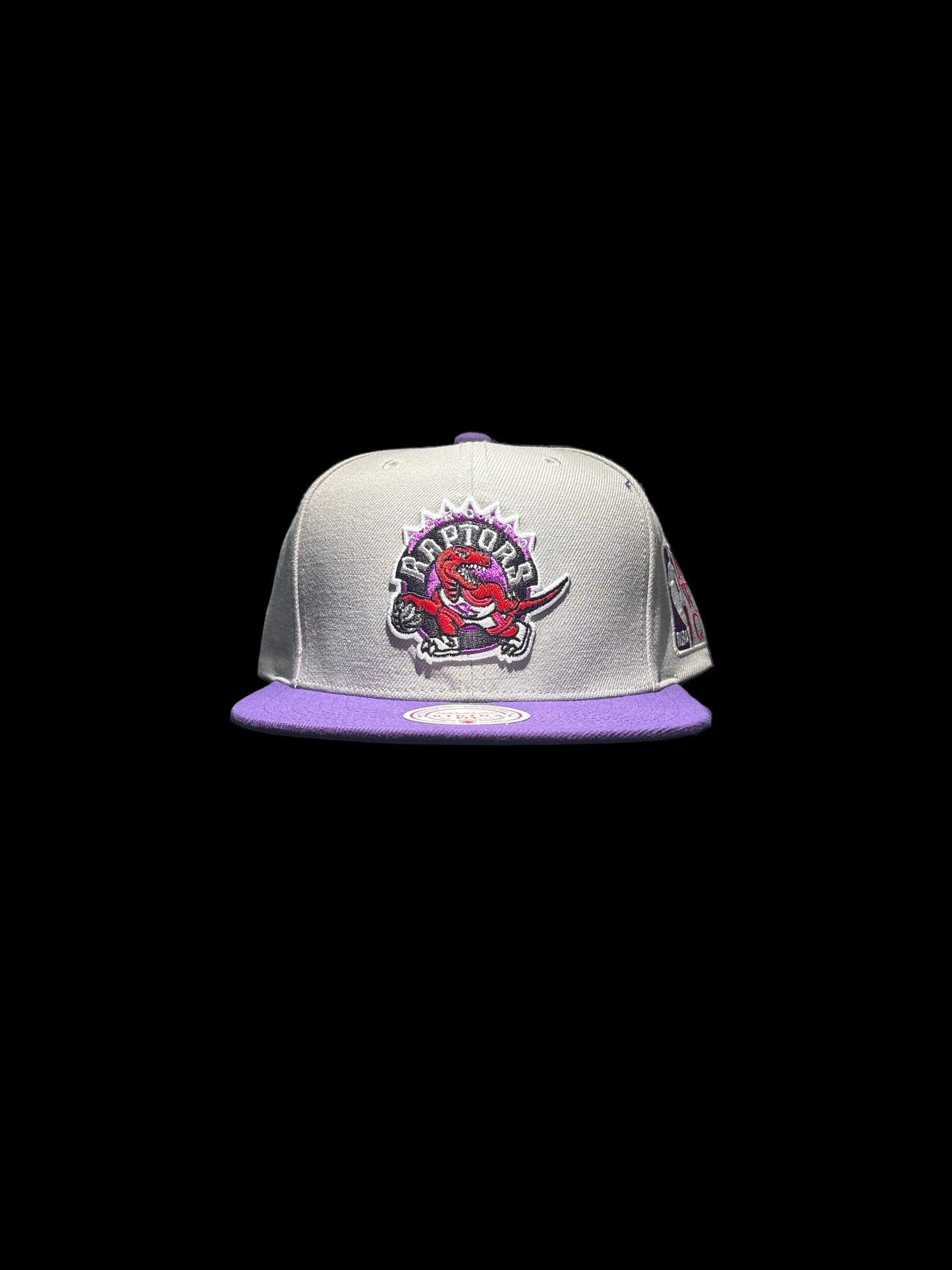 Toronto Raptors Mitchell & Ness Hardwood Classic Legendary Original Fit Snapback Hat - Grey/Purple