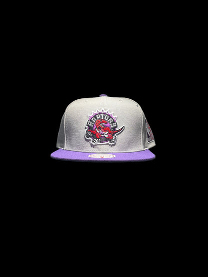 Toronto Raptors Mitchell & Ness Hardwood Classic Legendary Original Fit Snapback Hat - Grey/Purple