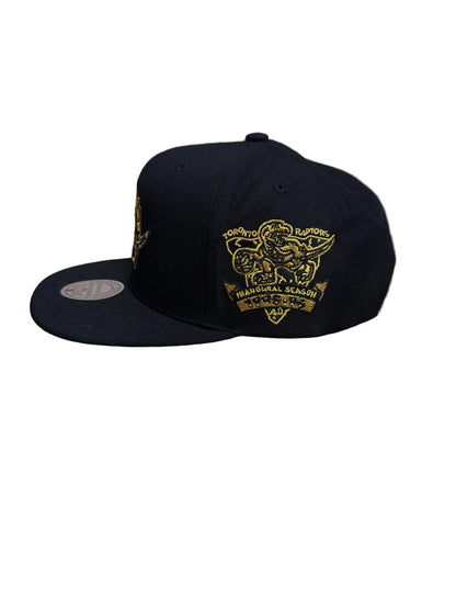 Toronto Raptors Black Gold Mitchell & Ness Inaugural Season Side patch Original Fit Snapback Hat