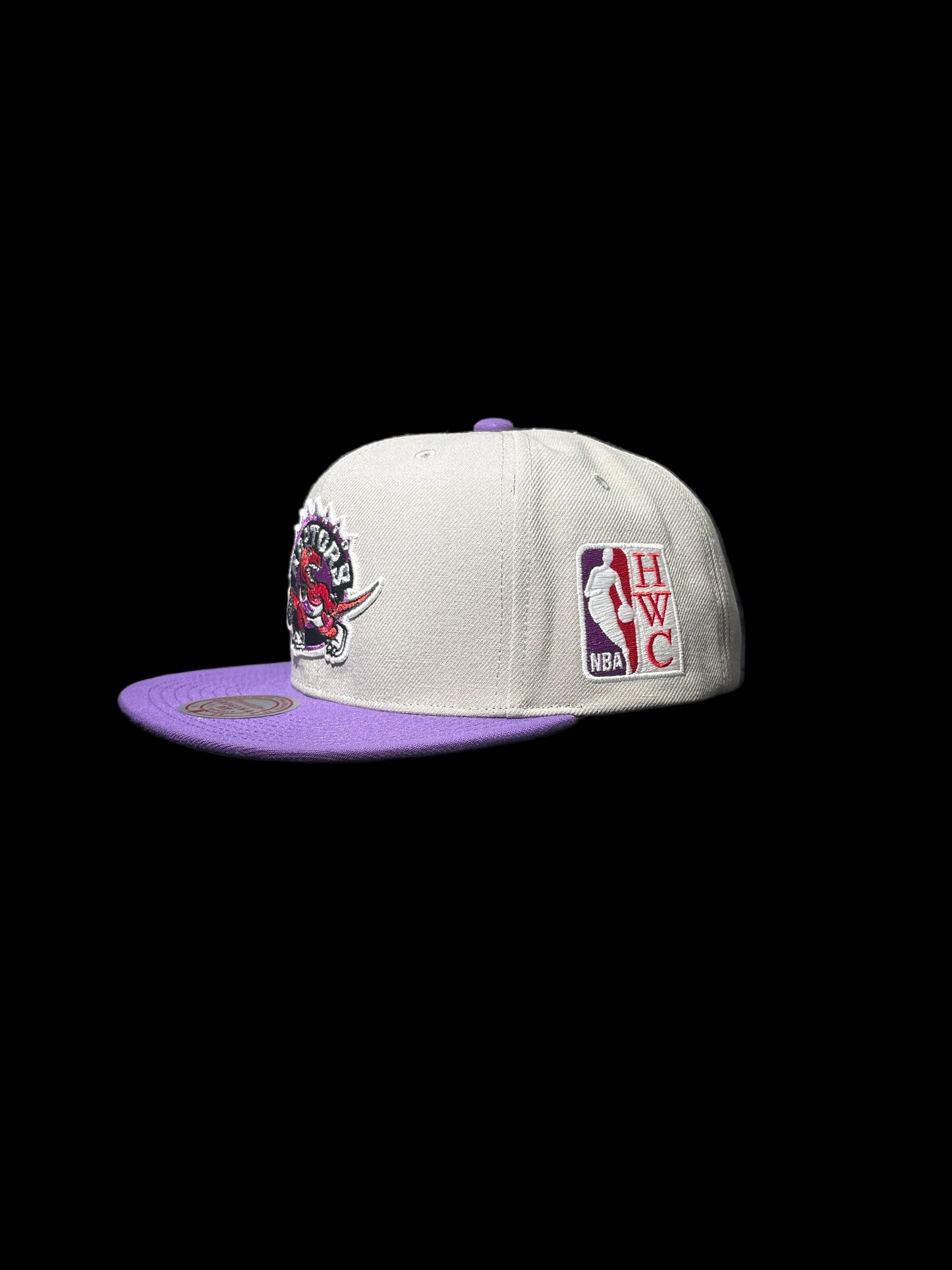 Toronto Raptors Mitchell & Ness Hardwood Classic Legendary Original Fit Snapback Hat - Grey/Purple