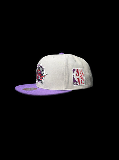 Toronto Raptors Mitchell & Ness Hardwood Classic Legendary Original Fit Snapback Hat - Grey/Purple