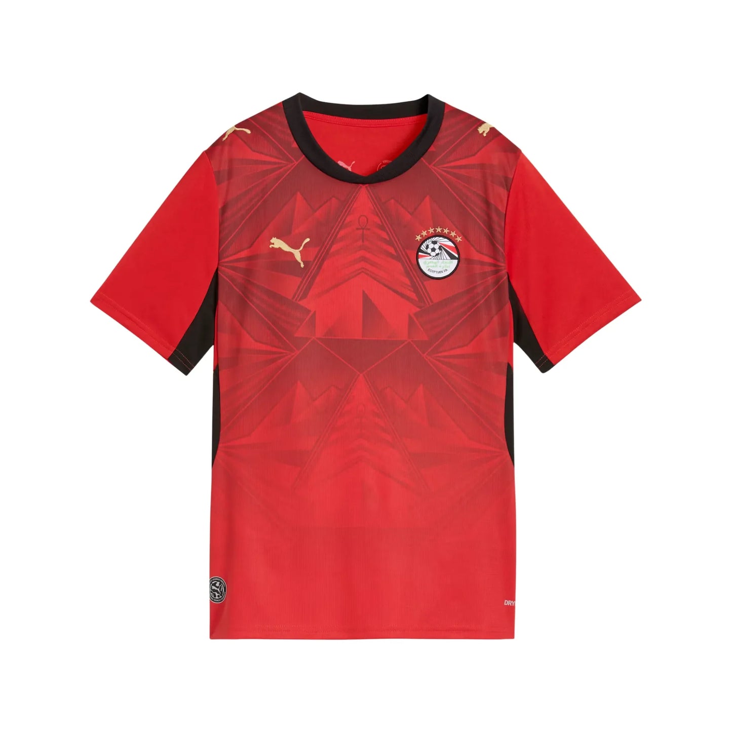 Youth Egypt EFA National Team Fifa World Cup Puma 2025/26 Home Replica Jersey