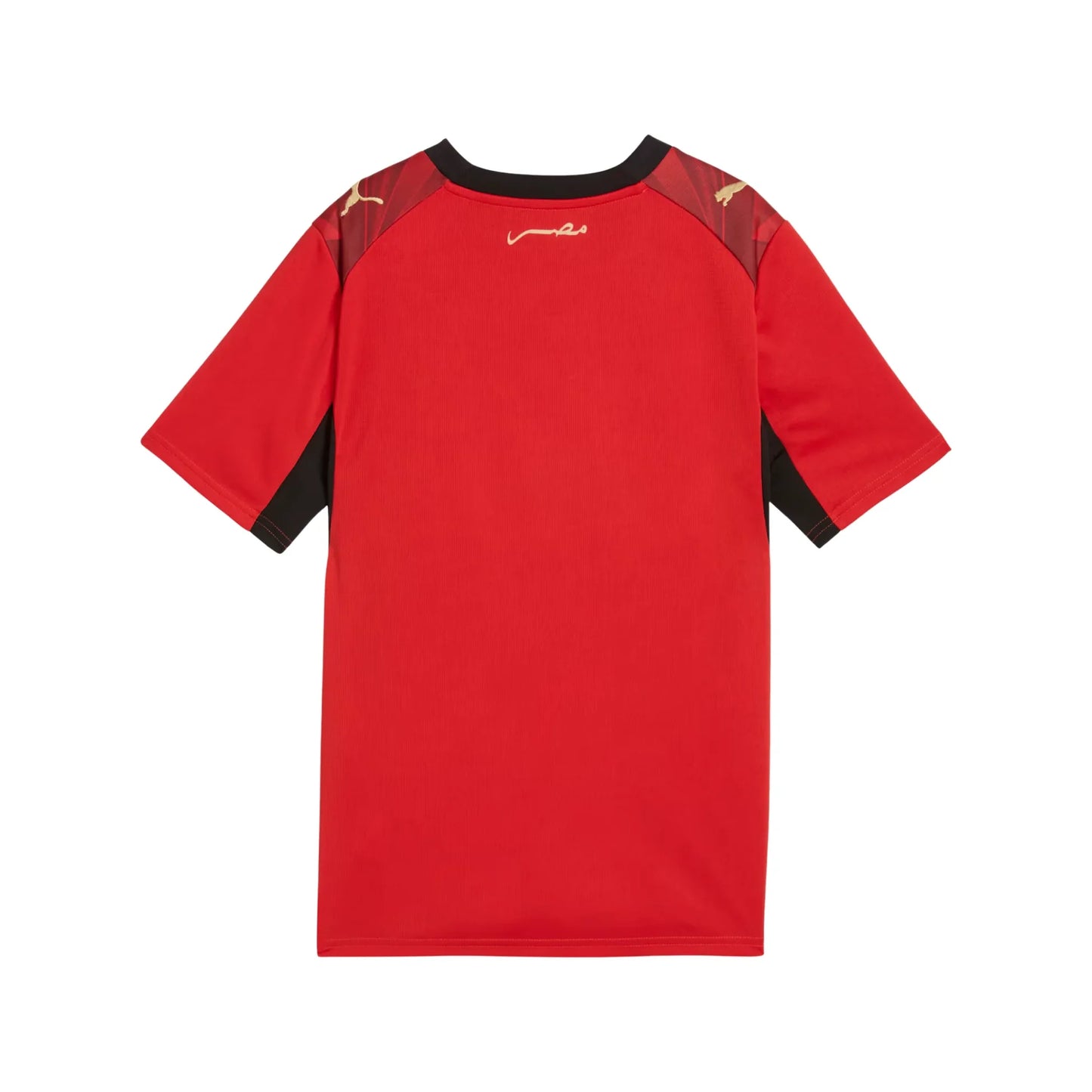 Youth Egypt EFA National Team Fifa World Cup Puma 2025/26 Home Replica Jersey