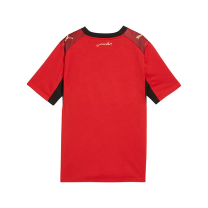 Youth Egypt EFA National Team Fifa World Cup Puma 2025/26 Home Replica Jersey