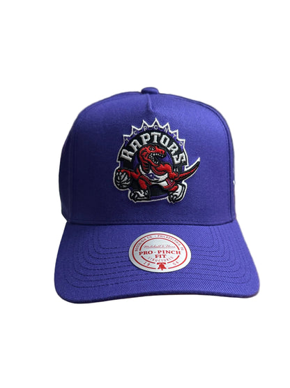 Toronto Raptors 1995 Inaugural Season Mitchell & Ness Pro Pinch A-Frame Structured Fit Snapback Hat - Purple