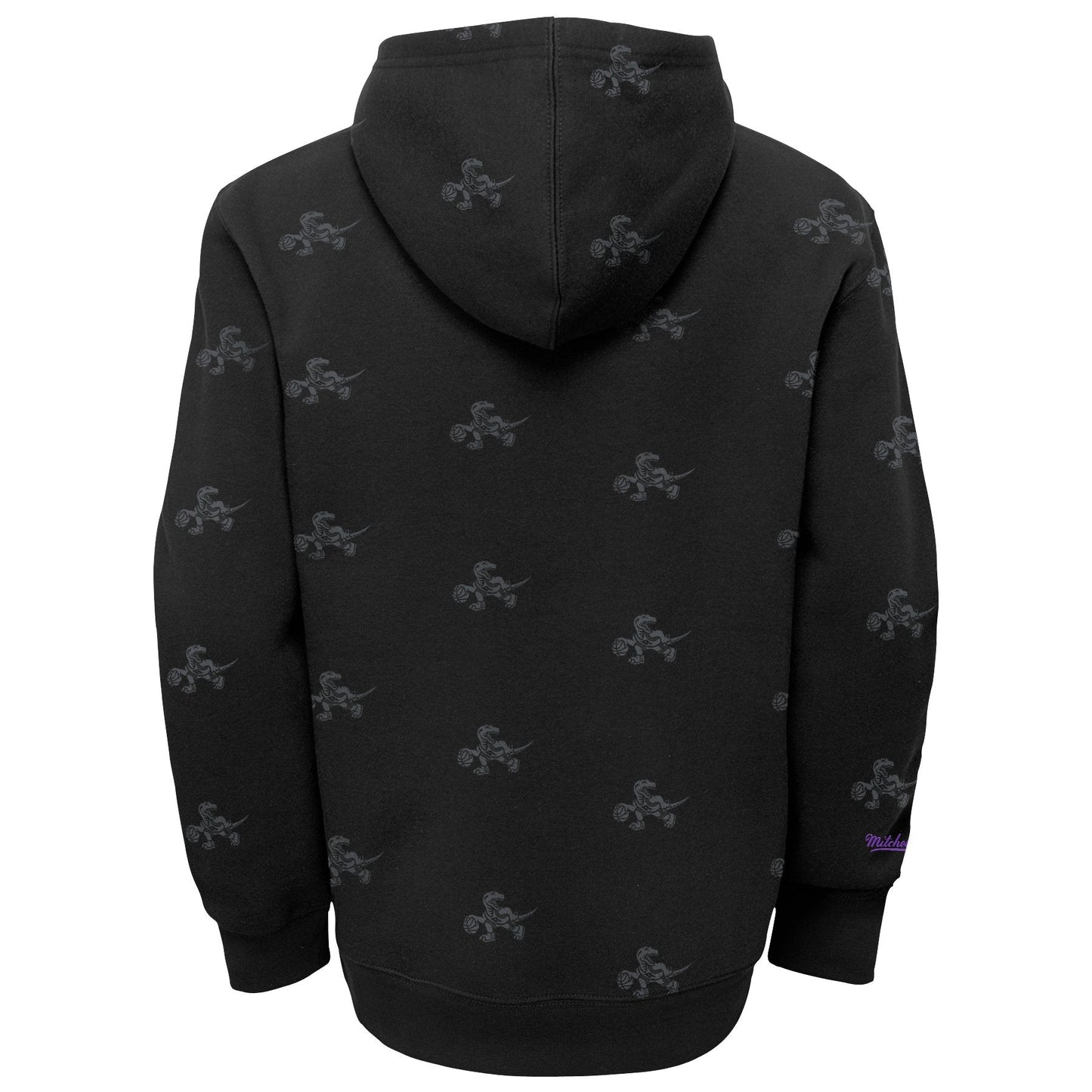 Toronto Raptors AOP Mitchell & Ness Pullover Fleece Hoodie