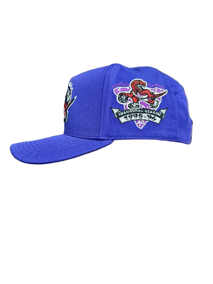 Toronto Raptors 1995 Inaugural Season Mitchell & Ness Pro Pinch A-Frame Structured Fit Snapback Hat - Purple