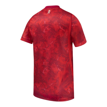 Poland PZPN Fifa World Cup Nike 2025/26 Away Replica Jersey - Red