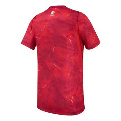 Youth Poland PZPN Fifa World Cup Nike 2025/26 Away Replica Jersey - Red