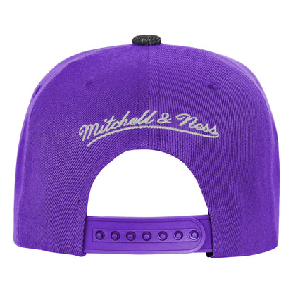 Youth Toronto Raptors Mitchell & Ness PatchWork Hard Wood Classic Snapback Hat