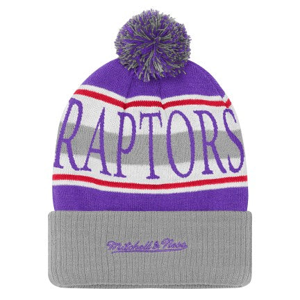 Youth Toronto Raptors Michell & Ness Hard Wood Classic Pom Toque - Purple