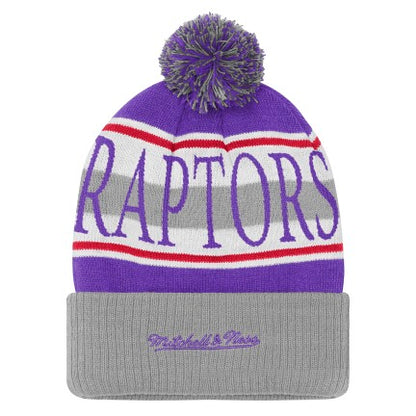 Youth Toronto Raptors Michell & Ness Hard Wood Classic Pom Toque - Purple