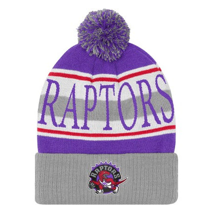 Youth Toronto Raptors Michell & Ness Hard Wood Classic Pom Toque - Purple