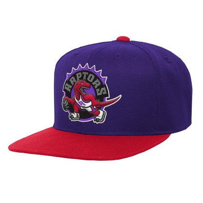 Youth Toronto Raptors Hard Wood Classic Mitchell & Ness 2-Tone Snapback Hat