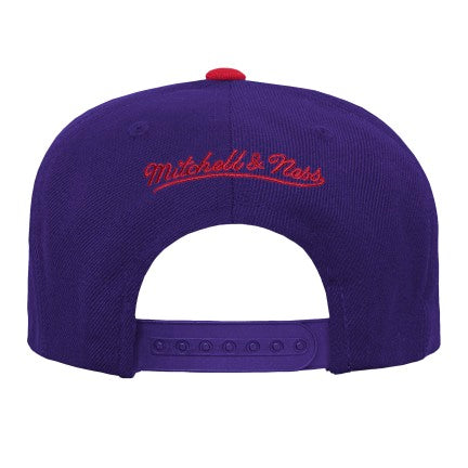 Youth Toronto Raptors Hard Wood Classic Mitchell & Ness 2-Tone Snapback Hat