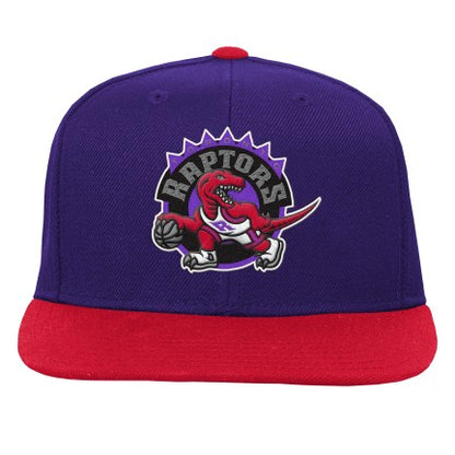 Youth Toronto Raptors Hard Wood Classic Mitchell & Ness 2-Tone Snapback Hat