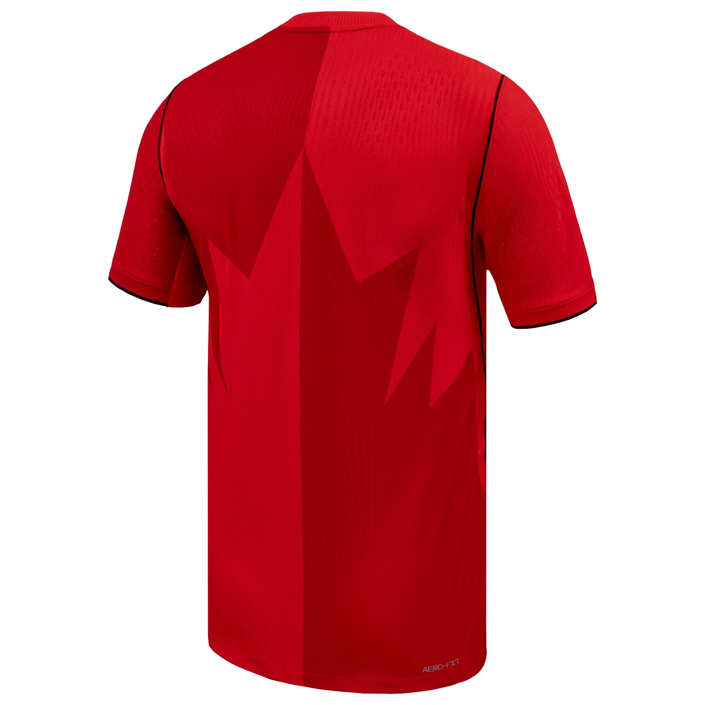 Canada National Soccer 2026 Fifa World Cup Nike Match Jersey - Red