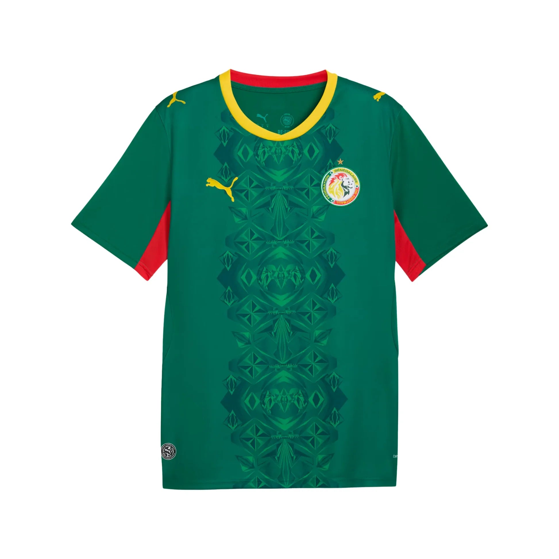 Senegal FSF Fifa World Cup Puma 2025/26 Away Replica Jersey