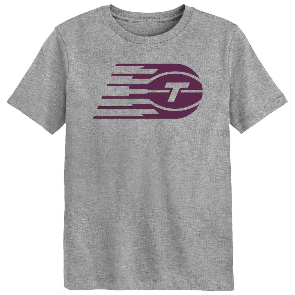 Youth WNBA Toronto Tempo Primary Icon T-Shirt - Grey