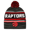 Toronto Raptors Ice Cap Knit Cuff Knit - 47 Brand - Pro League Sports Collectibles Inc.