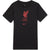 Youth Liverpool Nike Evergreen Crest T-Shirt - Black