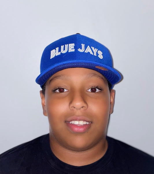 Toronto Blue Jays Wordmark Nike Classic 99 Swoosh Flex Fit Hat - Pro League Sports Collectibles Inc.