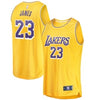 Child Los Angeles Lakers Lebron James Jersey - Pro League Sports Collectibles Inc.