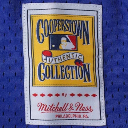 Joe Carter Toronto Blue Jays Mitchell & Ness 1993 Cooperstown Collection Royal Blue Mesh Batting Practice Jersey