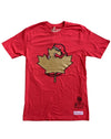 Toronto Raptors Mitchell & Ness Dino Hug Leaf Logo Red T-Shirt - Pro League Sports Collectibles Inc.