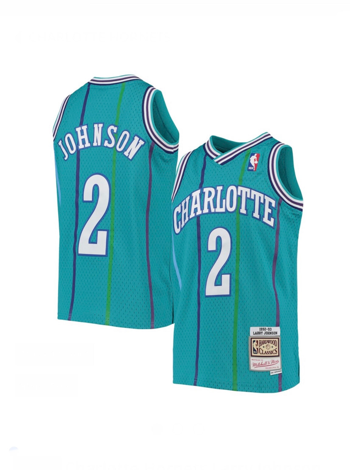 Larry Johnson Charlotte Hornets Mitchell & Ness 1996/97 Hardwood