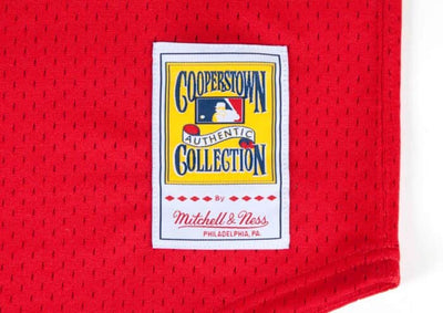 Montreal Expos Larry Walker Mitchell & Ness Cooperstown Collection 1989 Pullover Batting Practice Jersey - Pro League Sports Collectibles Inc.