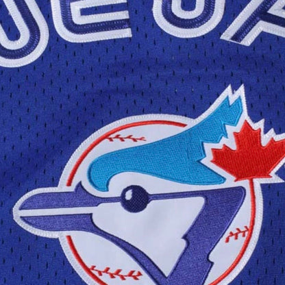 Joe Carter Toronto Blue Jays Mitchell & Ness 1993 Cooperstown Collection Royal Blue Mesh Batting Practice Jersey