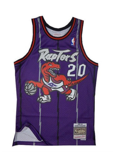 Damon Stoudamire Toronto Raptors 1998-99 Purple Mitchell & Ness Swingman Jersey - Pro League Sports Collectibles Inc.