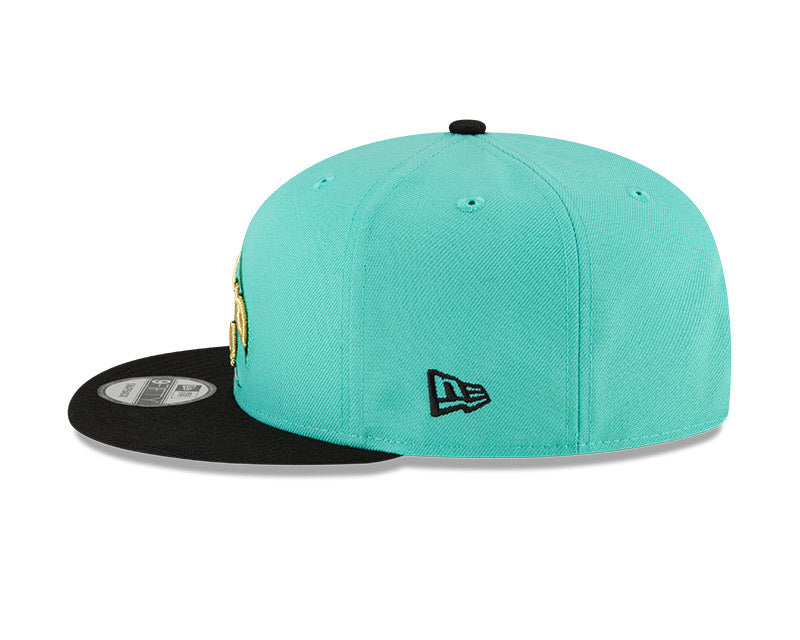 Charlotte Hornets New Era City Series 20 Snapback - Pro League Sports Collectibles Inc.