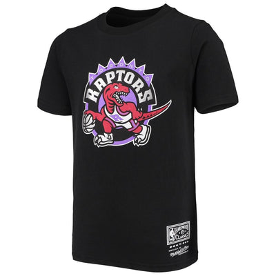 Youth Toronto Raptors Tri Blend Hardwood Classic Logo T-Shirt - Pro League Sports Collectibles Inc.