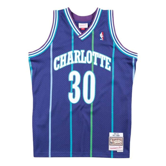 Dell Curry Charlotte Hornets Alternate 1994-95 Mitchell & Ness Hardwood Classic Swingman Purple Jersey - Pro League Sports Collectibles Inc.