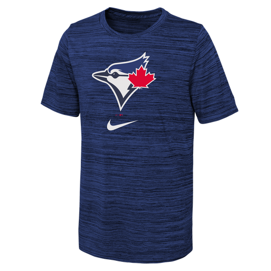 Youth Toronto Blue Jays Nike Heathered Royal Authentic Collection Velocity Dri-Fit - T-Shirt - Pro League Sports Collectibles Inc.