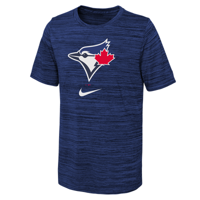Youth Toronto Blue Jays Nike Heathered Royal Authentic Collection Velocity Dri-Fit - T-Shirt - Pro League Sports Collectibles Inc.