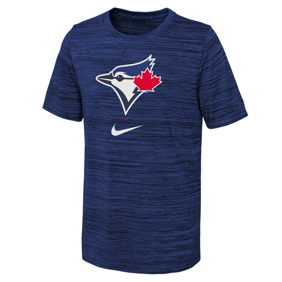 Youth Toronto Blue Jays Nike Powder Blue Horizon Alternate 2020 Replic -  Pro League Sports Collectibles Inc.